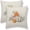 Pumpkin, variant on Fall Pillow Covers 18x18 Set of 2, Hello Fall Leaves Orange Decorative Outdoor Throw Pillow Covers Autumn Thanksgiving Farmhouse Cushion Case Linen Square for Home Couch Sofa