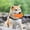ZA Orange1 On Sale, variant on Giant Carrot Dog Toy, Dog Calming Carrot, Sturdy Plush Multi-squeaks Toys, Cute Stuffing Chew Boredom Toys for Indoor Small Medium Large Dogs