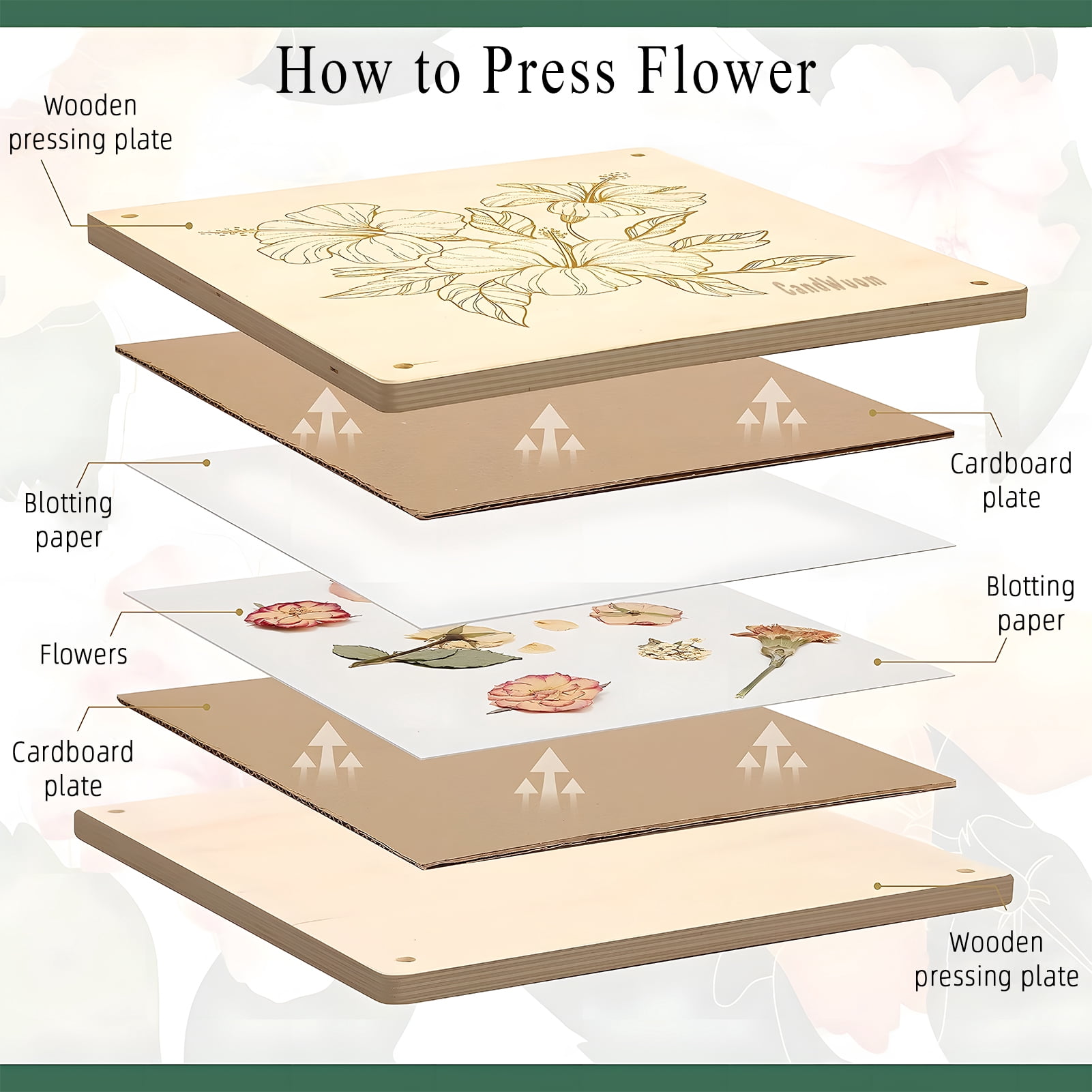CandWuom Flower Press Kit, 11" x 11" Large Wooden Flower Pressing Craft for Adults & Kids, Bouquet Preservation Kit, DIY Flowers Drying Art, Ideal Gift for Arts and Crafts Lovers