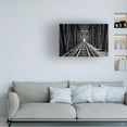 thumbnail image 2 of Catalin Alexandru 'Emptiness' Canvas Art, 2 of 4