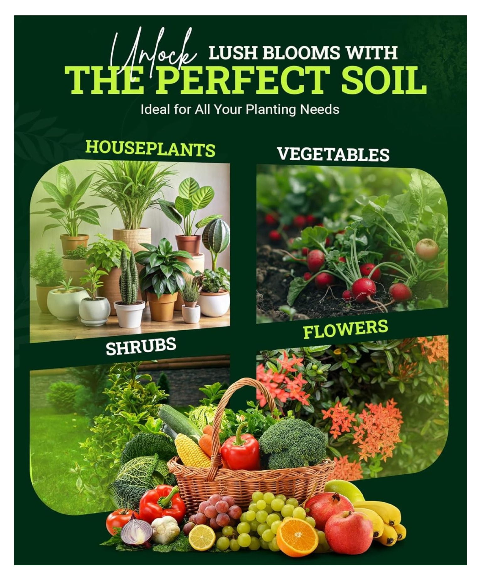 Happy Frog Potting Soil, 12qt – for Indoor/Outdoor Container Plants, Improves Root Efficiency, pH Adjusted for Optimal Nutrient Uptake – Contains Microbes and Humic Acids (Pack of 2)