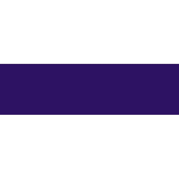 CREATIVE ART MATERIALS Caran D`ache Neocolor II Craie de Cire - Violet (7500.12)
