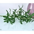 thumbnail image 2 of Zenbath 24” Artificial Olive Plant, Green, 2 of 7