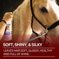 thumbnail image 5 of Jeffers Equine Tail & Mane Detangler & Conditioner Spray for Horses, 32 oz – Soap Free, Non Greasy Formula, Helps Loosen Knots & Tangles, Frizz Control, Soft Silky Shine, Fresh Scent, Made in USA, 5 of 8