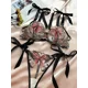 thumbnail image 4 of Conjunto de lencería con bordado de mariposas, sujetador de malla sin forro y tanga de tiras, lencería y ropa interior sexy para mujer, 4 of 5