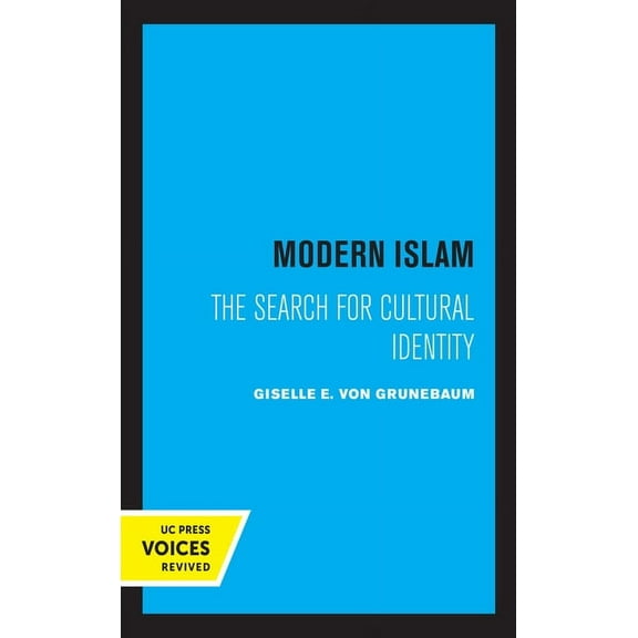 Modern Islam: The Search for Cultural Identity, (Paperback)