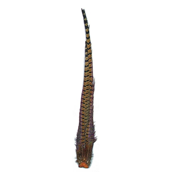 Zucker Feather Products Ringneck Pheasant Complete Tail - Natural - 4 - 24"