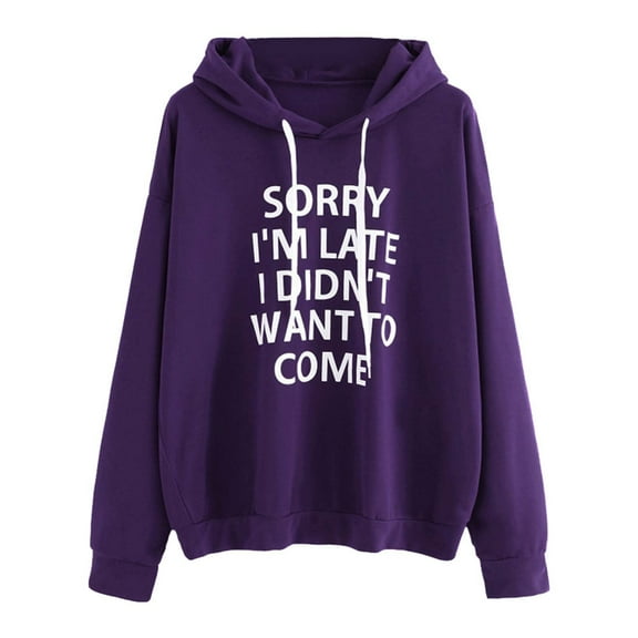 XINXIAOO Womens Sweatshirt Hoodies Long Sleeve Womens Pullover Baggy Hoodies Purple Plain Sweatshirt Winter Tops for Women Comfy Clothes for Women