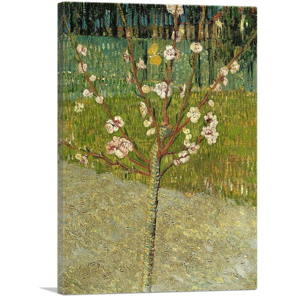 ARTCANVAS Almond Tree in Blossom 1888 Canvas Art Print by Vincent Van Gogh - Size: 26" x 18" (0.75" Deep)