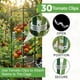 thumbnail image 4 of Jaula para tomates K-Brands, paquete de 6, soporte para plantas de 122 cm de alto, 4 of 9