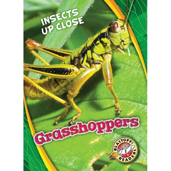 Insects Up Close Grasshoppers, (Hardcover)