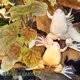 thumbnail image 3 of Planta de terrario para reptiles, planta artificial para acuario, planta de plástico para pecera, planta decorativa para pecera de reptiles, 3 of 8