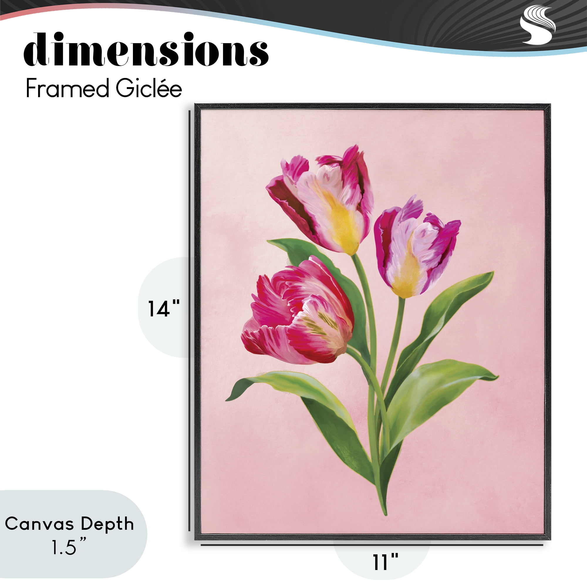 Stupell Industries Vibrant Magenta Tulips Black Framed Giclee Art, design by Diane Neukirch