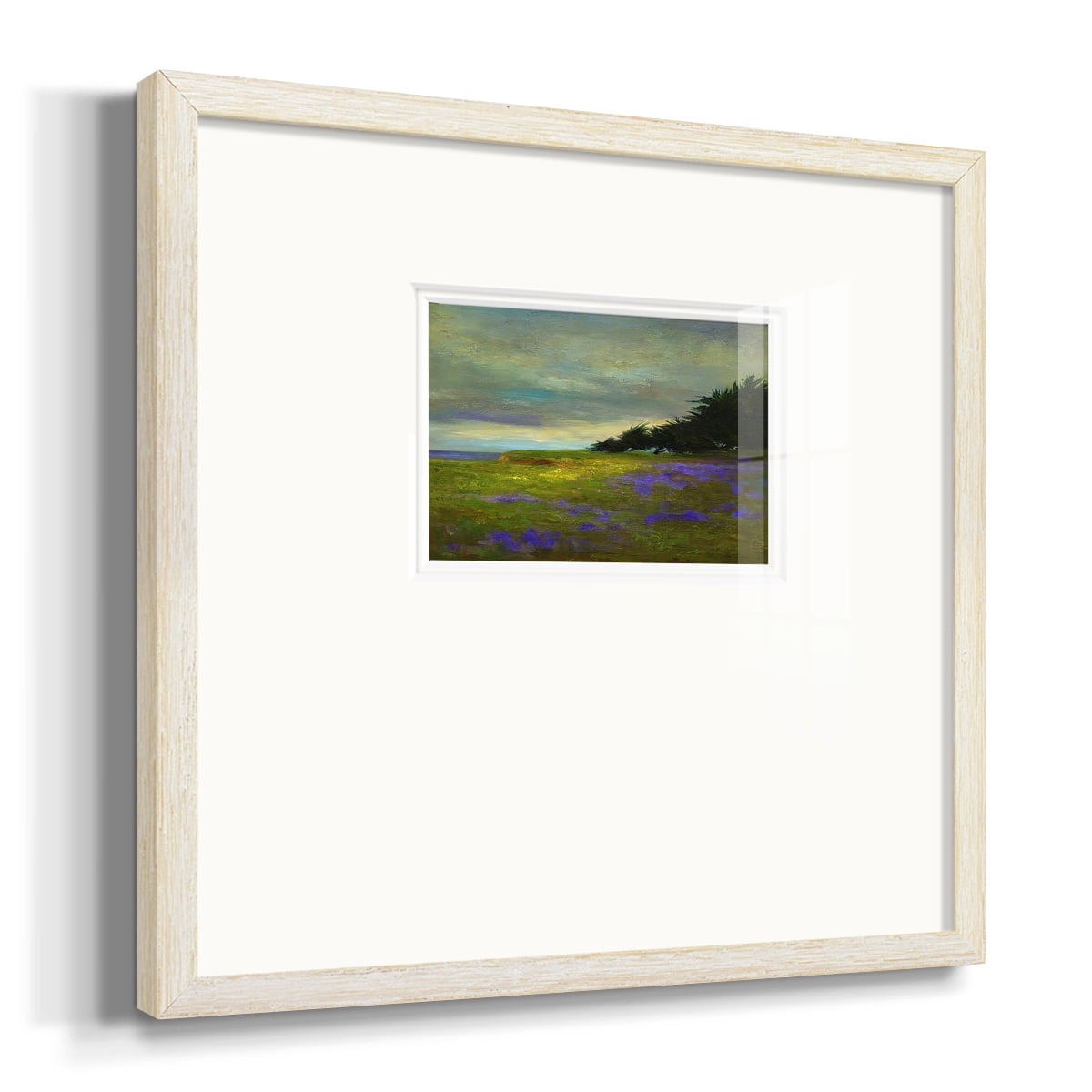 Coastal Views VIPremium Framed Print