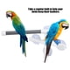 thumbnail image 5 of Percha para ducha de pájaros Bling Bling de PVC soporte para baño de pájaros multifuncional, 5 of 7