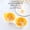 Yellow, variant on Microwave Egg Poacher, 2-Capacity Egg Cooker for Quick Poached Eggs, Non-Stick & Dishwasher Safe, Compact Kitchen Tool for Home Breakfast