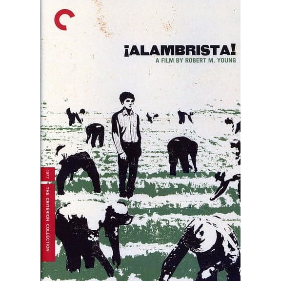 Alambrista! (Criterion Collection) (DVD), Criterion Collection, Drama