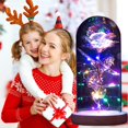 thumbnail image 4 of Eternal Roses Beauty And Animal Rose Kit In Glass Dome Led Lights Artificial Flowers Rose Gifts For Women Mum Gift, 4 of 5