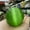 Green, variant on K-KED Beautiful Rare Natural Cat's Eye Stone Balls Quartz Crystal Reiki Healing Sphere-50 mm-White