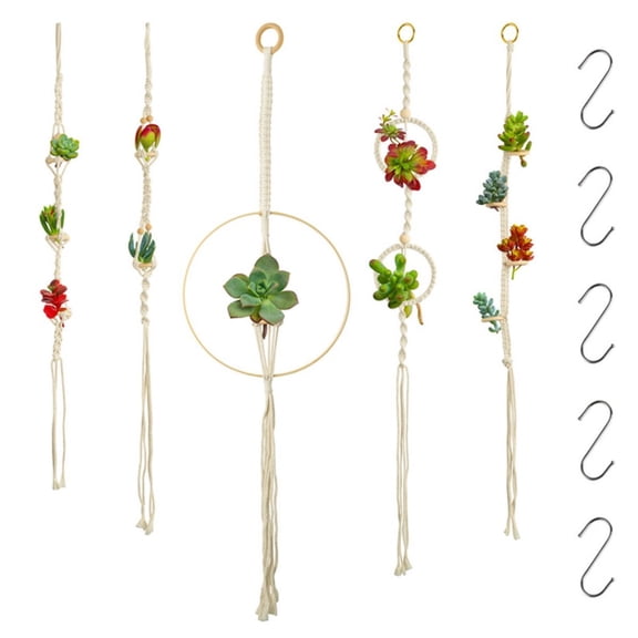 Hanging Air Plant Holders with 5 metal Hooks Wall Decorations for Home Garden Outdoor Decor,5 Counts