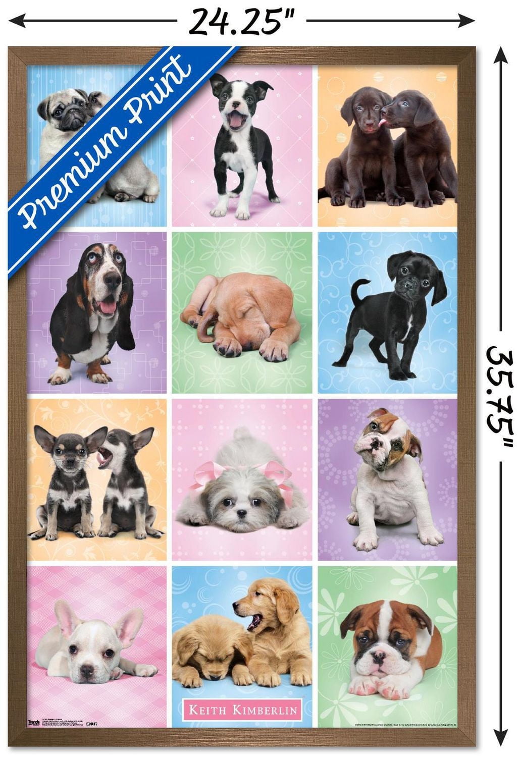 Keith Kimberlin - Puppies