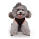 thumbnail image 5 of Methold Ropa de lana para mascotas, jersey para perro, suéter, traje pequeño para gato Yorkie, Chihuahua Ropa para mascotas once M, 5 of 6