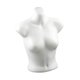 thumbnail image 4 of Soporte De Exhibición De Ropa Interior Con Torso De Maniquí Femenino Para Transmisión En Mostrador, 4 of 8