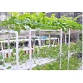 thumbnail image 5 of INTBUYING Hydroponic Grow Kit Plant Growing System for Leafy Vegetables 6 Pipes 2 Layers 54 Sites, 5 of 6