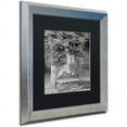 thumbnail image 2 of Trademark Fine Art "Campagnia II" Canvas Art by Alan Blaustein, Black Matte, Silver Frame, 2 of 4