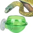 thumbnail image 3 of Comedero para reptiles con ventosa y antiescape, cuenco para comida para reptiles, para tortugas, gecos, serpientes (verde, 2 unidades), 3 of 4