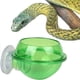 thumbnail image 3 of Comedero con ventosa para reptiles, cuenco antiescape para tortugas, gecos y serpientes (verde, 2 unidades), 3 of 4