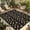 Beige, variant on Western Cowboy Outdoor Rug for Patio/Deck/Porch, Non-Slip Large Area Rug 5 x 8 Ft, Country Cow Head Cactus Sun Vintage Indoor Outdoor Rugs Washable Area Rugs, Reversible Camping Rug Carpet Runner