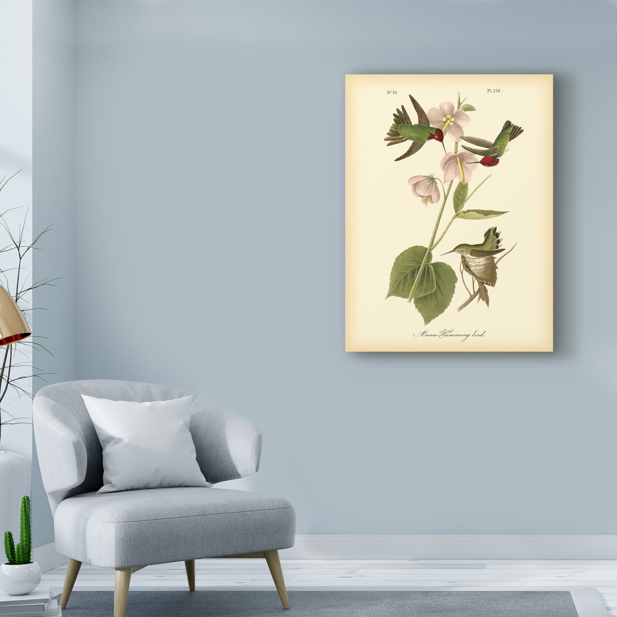 Trademark Fine Art 'Anna Hummingbird' Canvas Art by John James Audubon
