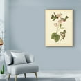 thumbnail image 3 of Trademark Fine Art 'Anna Hummingbird' Canvas Art by John James Audubon, 3 of 4