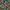 Retro Christmas Poinsettia, variant on FORMRS 1-Subject Spiral Notebook 8" x 5" College Ruled 60 Refillable Sheet, 2 Pack, Blue Floral