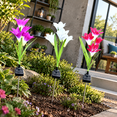 Solar 556 6 Pack Multicolor 6 Solar Lily Flower Landscape Lights for Garden ...