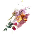 thumbnail image 3 of Flores Secas De Color, Flores Secas De Secado Al Aire 1 Paquete Para Decoración De Ropa Para Equipaje Ccdes Otros, 3 of 8