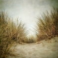 thumbnail image 3 of Poinski, Dianne 15x15 Black Modern Framed Museum Art Print Titled - Beach Grasses 2, 3 of 5