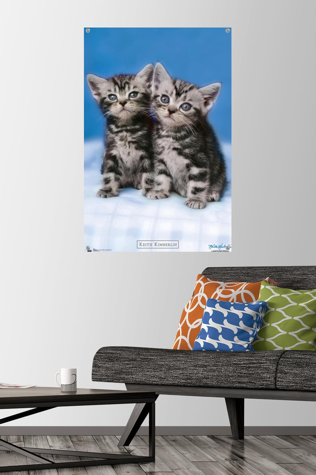 Keith Kimberlin - Kittens - Twins Wall Poster with Push Pins, 22.375" x 34"