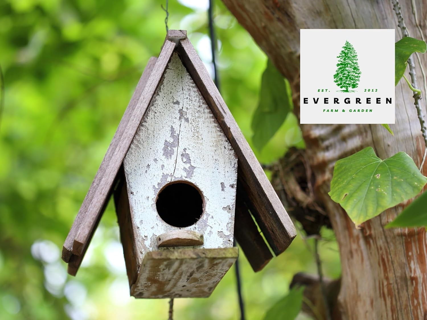 Evergreen Farm and Garden Bird Seed Cylinders - (4 Small Cylinders, Neat Beak)