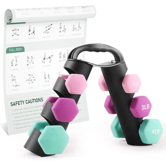 2 Neoprene Hex Dumbbells Set 2lb 3lb 4lb with Convertible Storage Rack, Cast Iron Hand Weights with Workout Poster