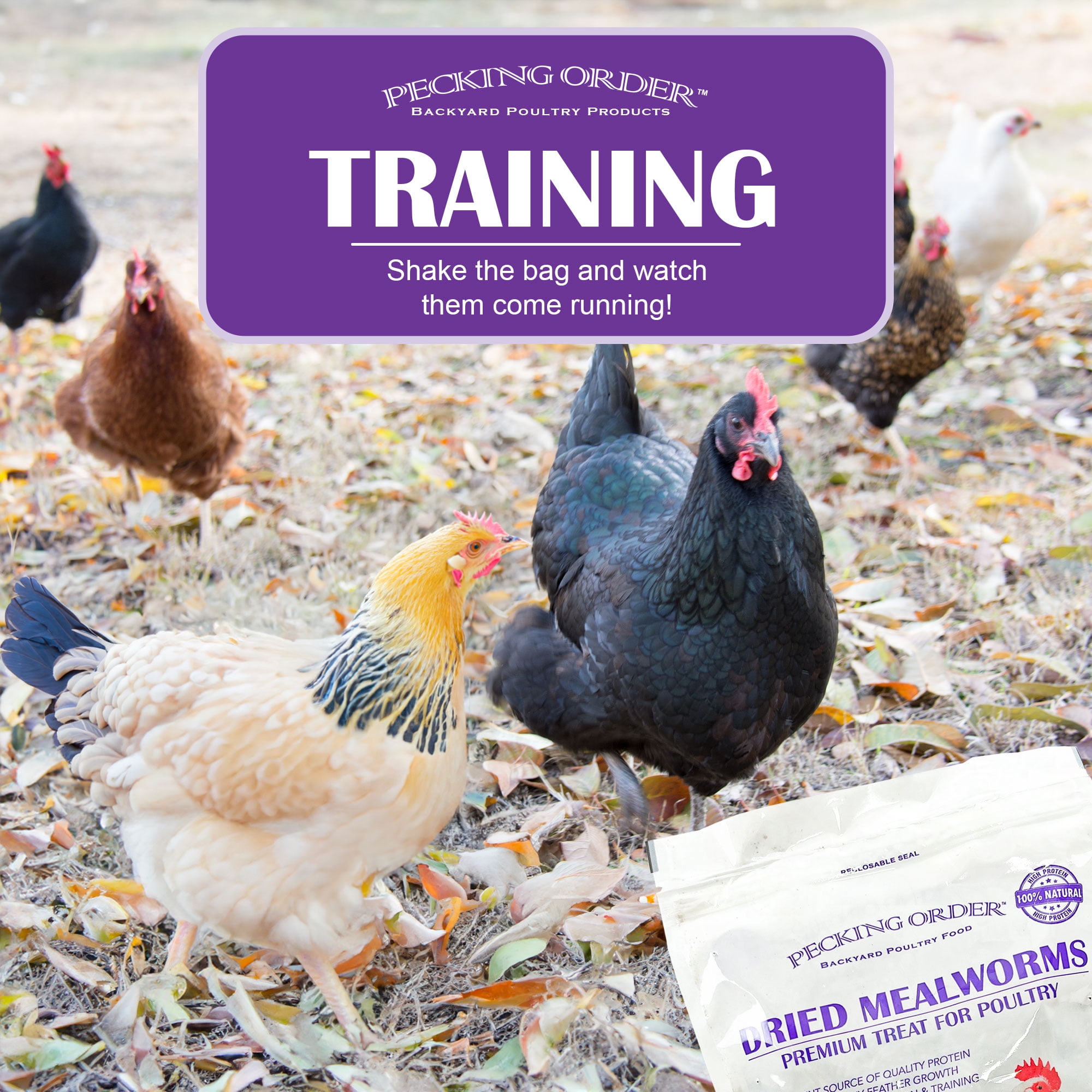 (3 pack) Pecking Order Dried Mealworms Backyard Chicken Treat, 5 lb. Poultry Feed & Treat. Value Size!