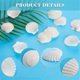 thumbnail image 3 of 40PCS Natural Scallop Shells 1.4-2.4inch White Small Sea Shells for Crafts Crafting Shell Bulk Real, 3 of 5