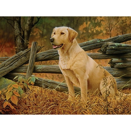 Mans Best Friend 500 Piece Puzzle,  Yellow Labs by Go!