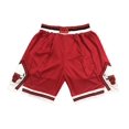 thumbnail image 1 of Men's Basketball Shorts, Embroidered Game Basketball Training Shorts, Chicago Bulls Shorts, 1 of 2