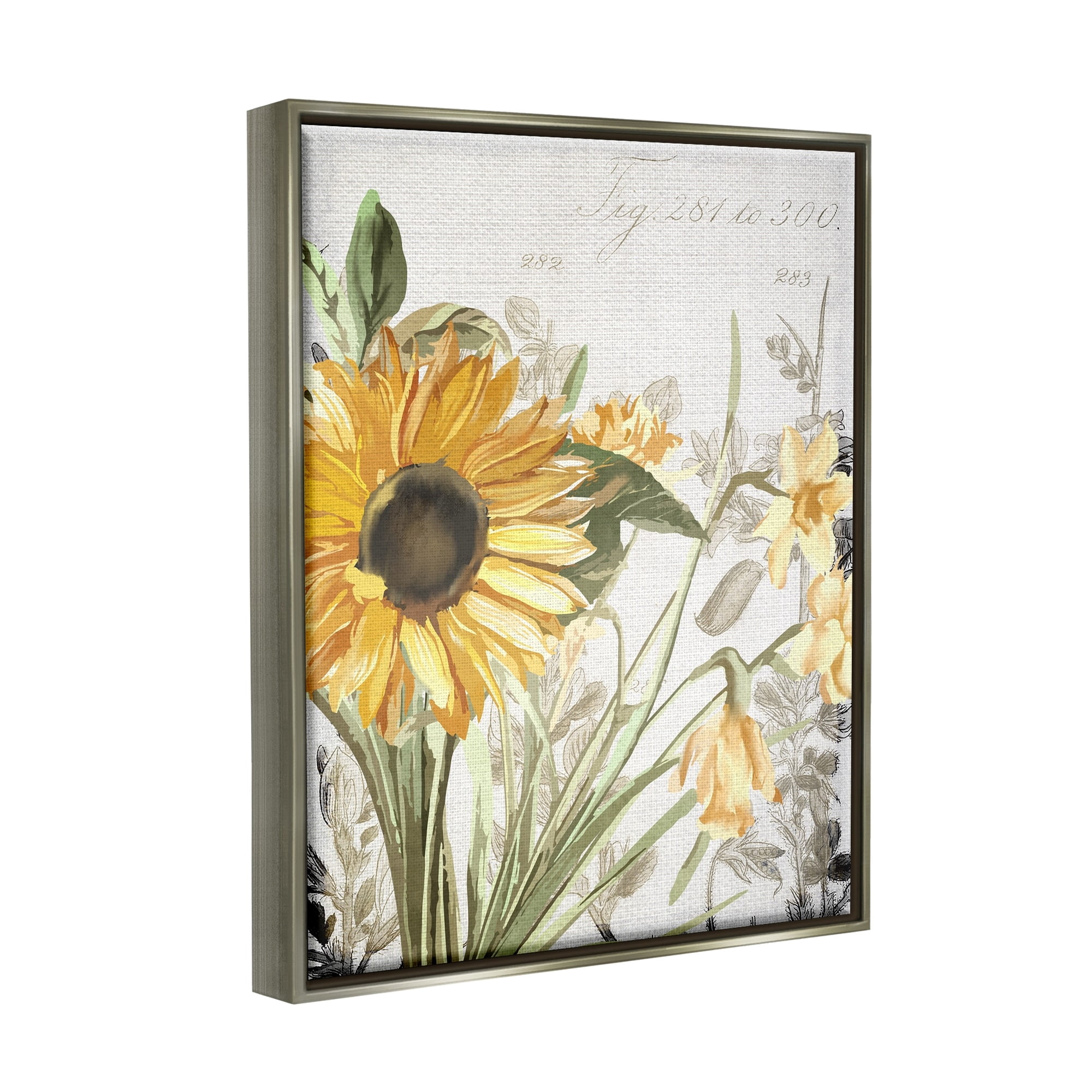 Stupell Industries Soft Sunflower Floral over Vintage Plant Illustration Luster Gray Framed Floating Canvas Wall Art, 16x20, by Kim Allen