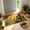 Multicolor648, variant on Tuvgenk Floor Mats & Doormats Washable 23.6x15.7in Indoor Outdoor Rugs Rectangle Polyester Practical Non Slip Leaves Multicolor