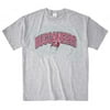 NFL - Big Men's Tampa Bay Buccaneers Tee Shirt