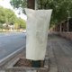 thumbnail image 1 of unbranded 2Ud Plantas Cubierta Protector Heladas Resistente Con Tela No Tejida, 1 of 7