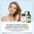 thumbnail image 5 of Rosemary Shampoo Moisturizes Softens Hair Cares Scalp Refreshing Daily Care 100Ml, 5 of 9